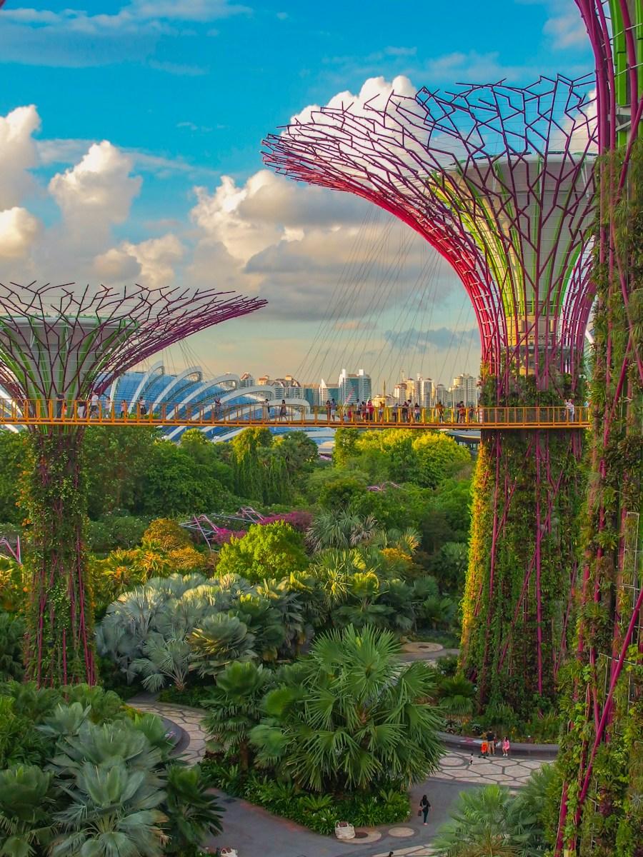 Khu vườn Supertree tại Gardens by the Bay, Singapore
